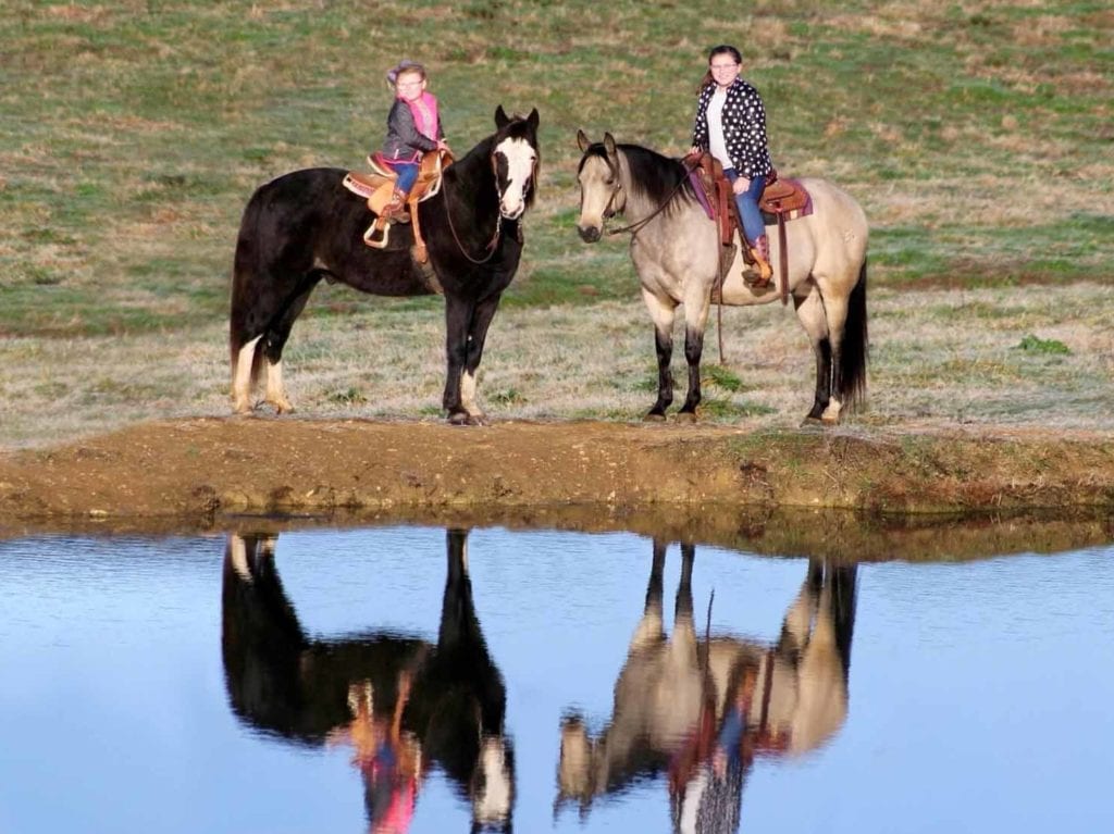 IMG 0675 e1669589964750