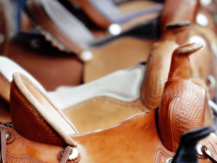 Home Adams Horse & Mule Co.