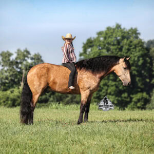 Ariat- Sells in Gladstone, New Jersey Sep. 26-27th