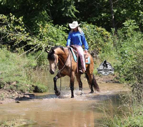 Ariat- Sells in Gladstone, New Jersey Sep. 26-27th - Image 8