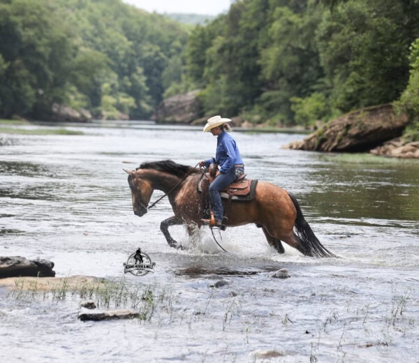 Ariat- Sells in Gladstone, New Jersey Sep. 26-27th - Image 5