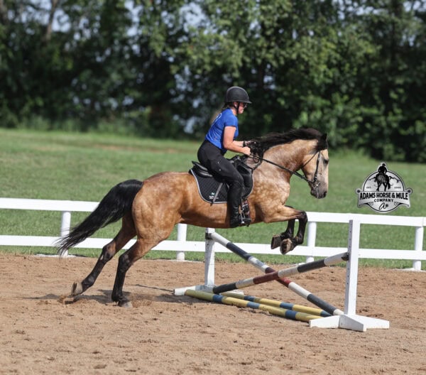 Ariat- Sells in Gladstone, New Jersey Sep. 26-27th - Image 4