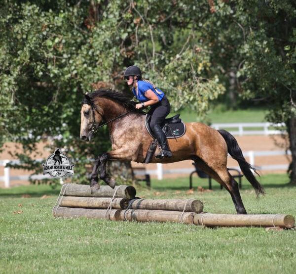 Ariat- Sells in Gladstone, New Jersey Sep. 26-27th - Image 2