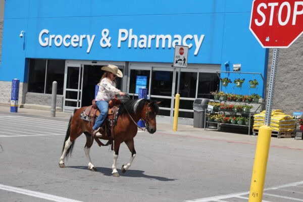 Snickers- Sells in Gladstone, New Jersey Sep. 26-27th - Image 18