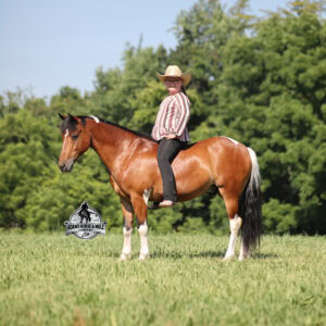 Snickers- Sells in Gladstone, New Jersey Sep. 26-27th