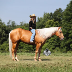 Cinco MR MEX BERRY 576- Sells in Gladstone, New Jersey Sep. 26-27th