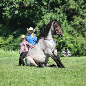 Rango- Sells in Gladstone, New Jersey Sep. 26-27th