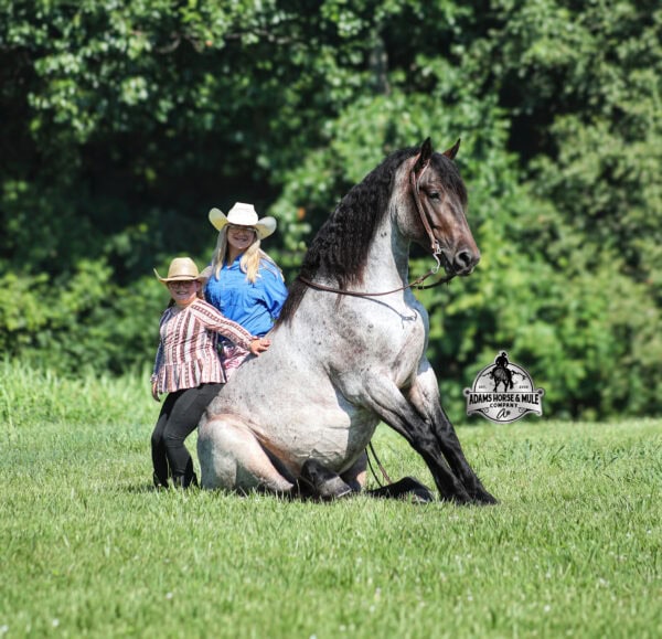 Rango- Sells in Gladstone, New Jersey Sep. 26-27th