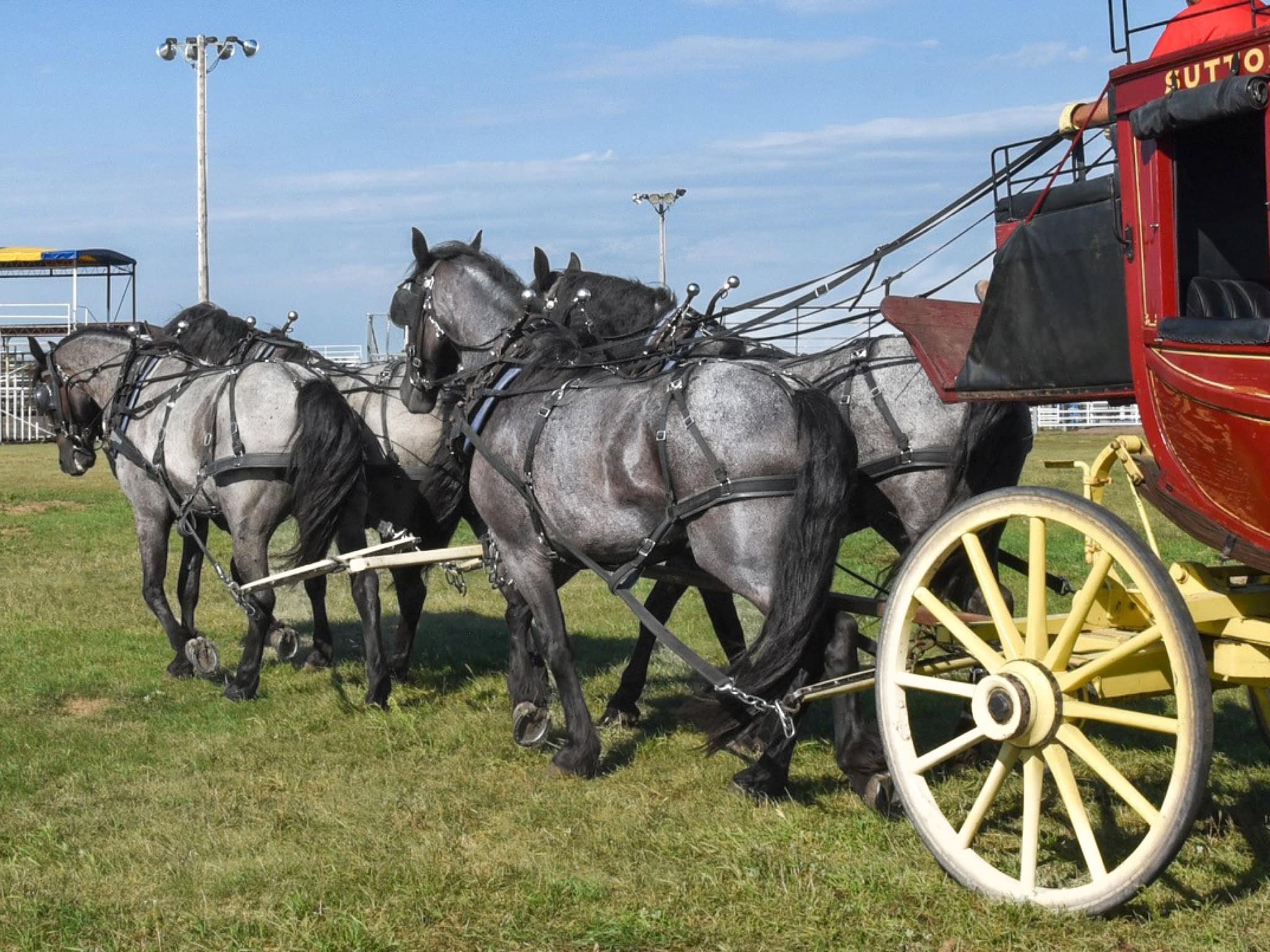 RRS Trumpin Travis - Image 9