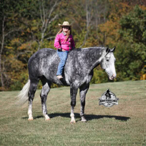 SK Drifters Chrome -Consigned to Cowgirl Cadillacs in Wickenburg, AZ Feb. 20-21