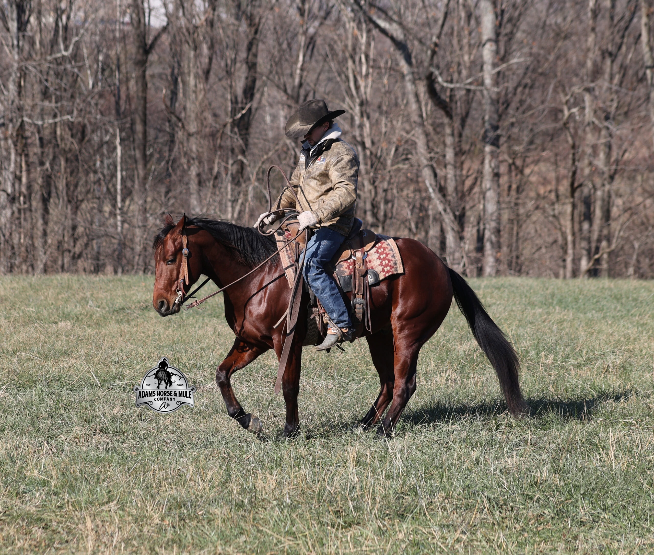 JLS Metallicboonsmal - Image 4