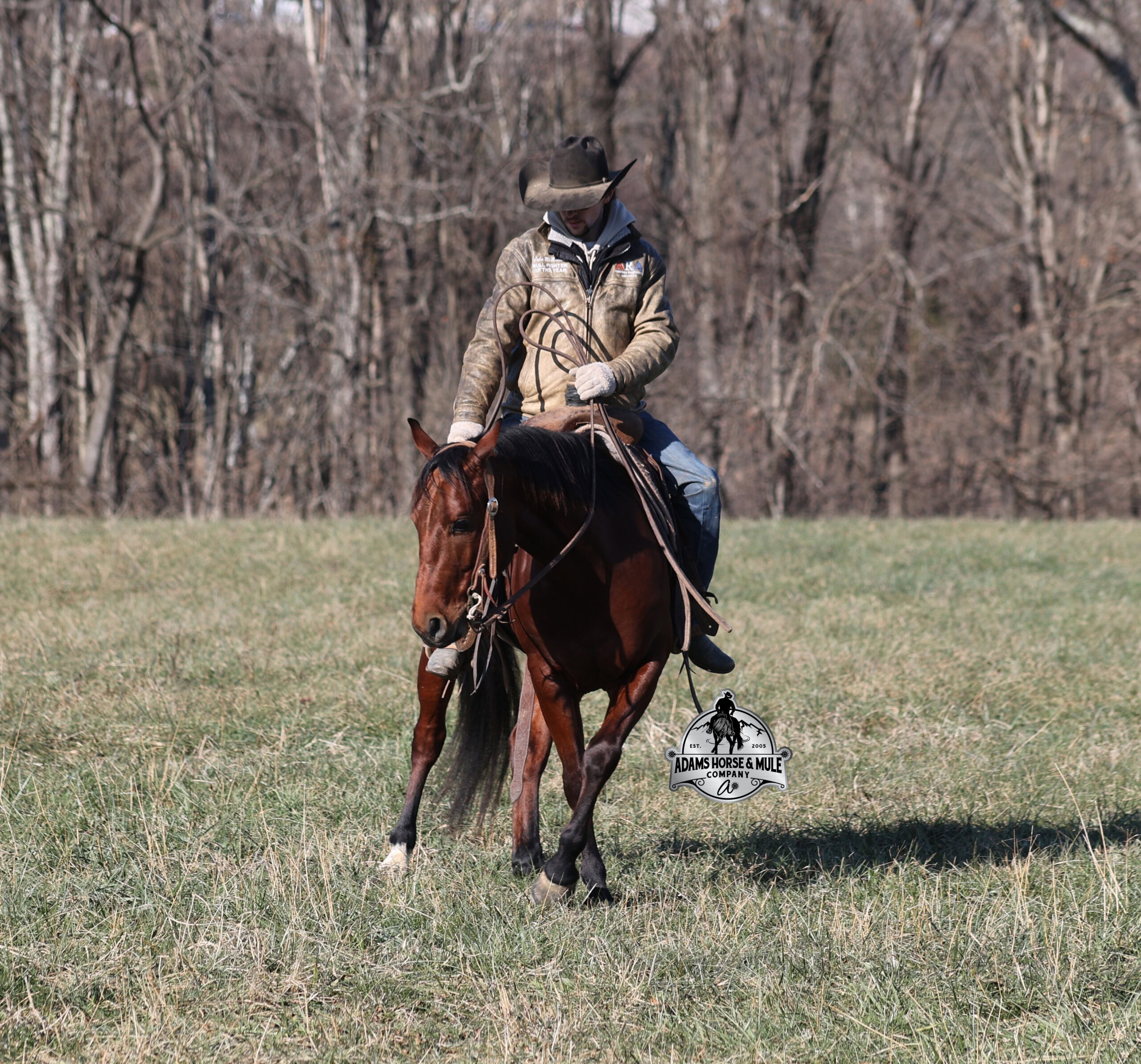 JLS Metallicboonsmal - Image 6