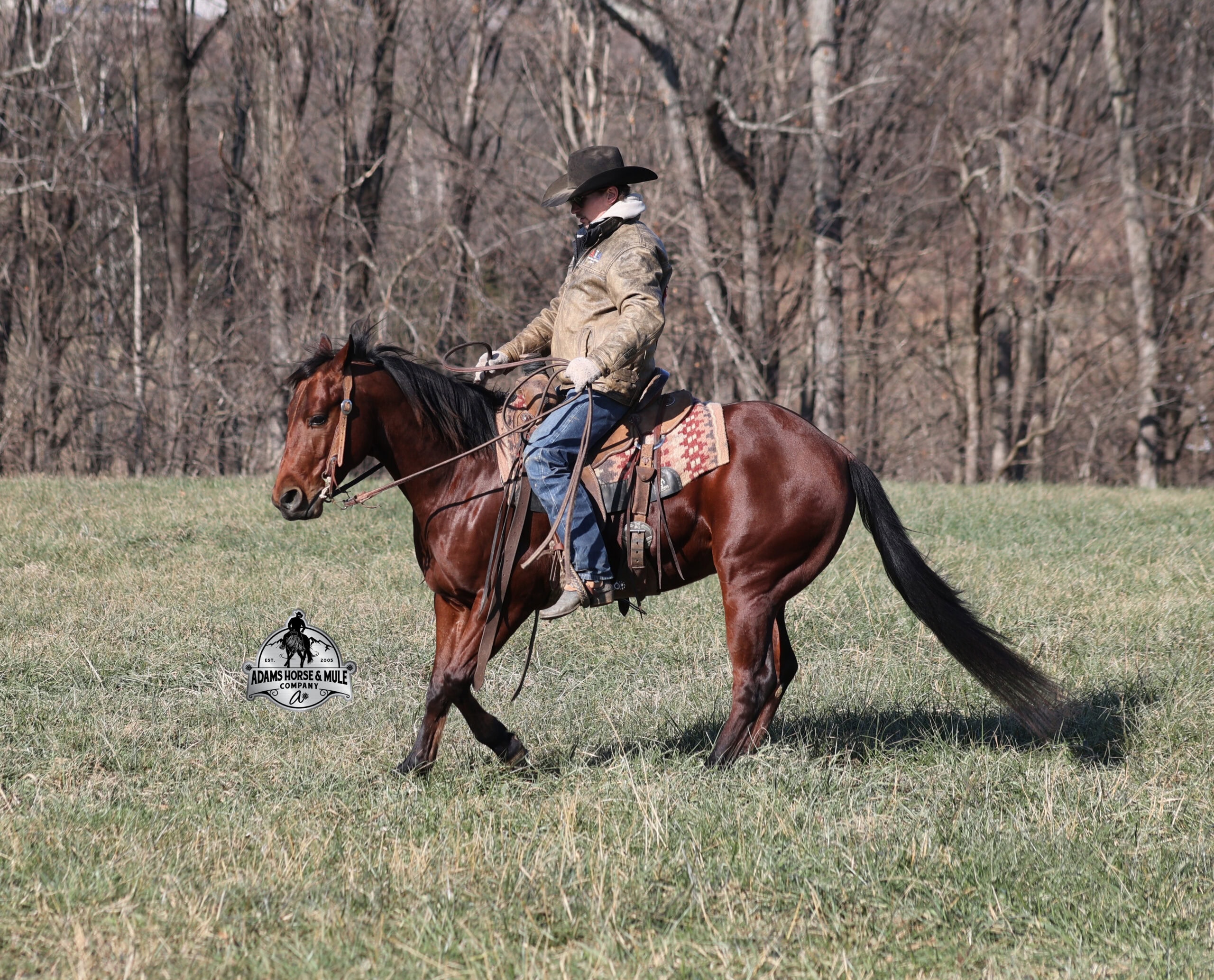 JLS Metallicboonsmal - Image 7