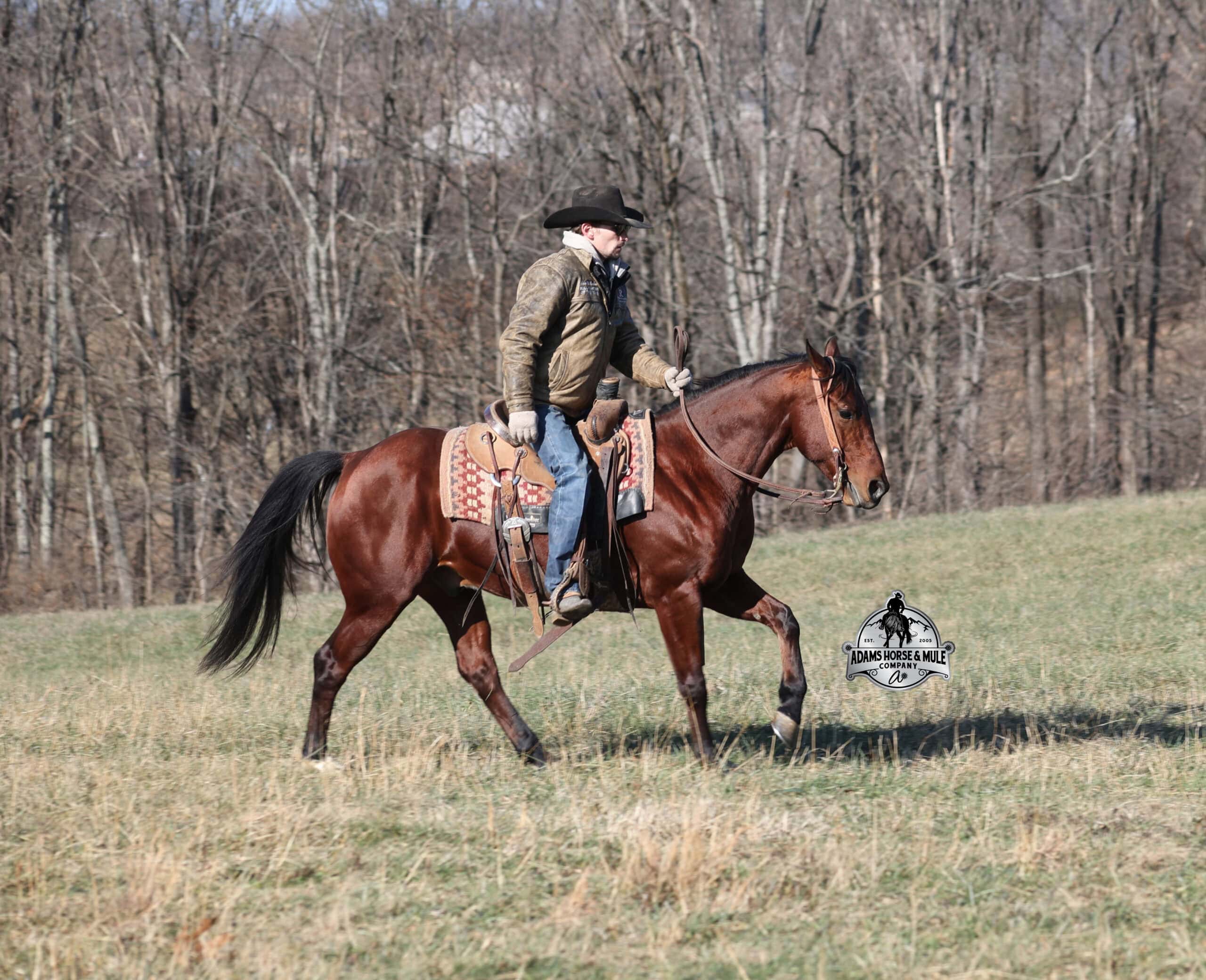 JLS Metallicboonsmal - Image 8