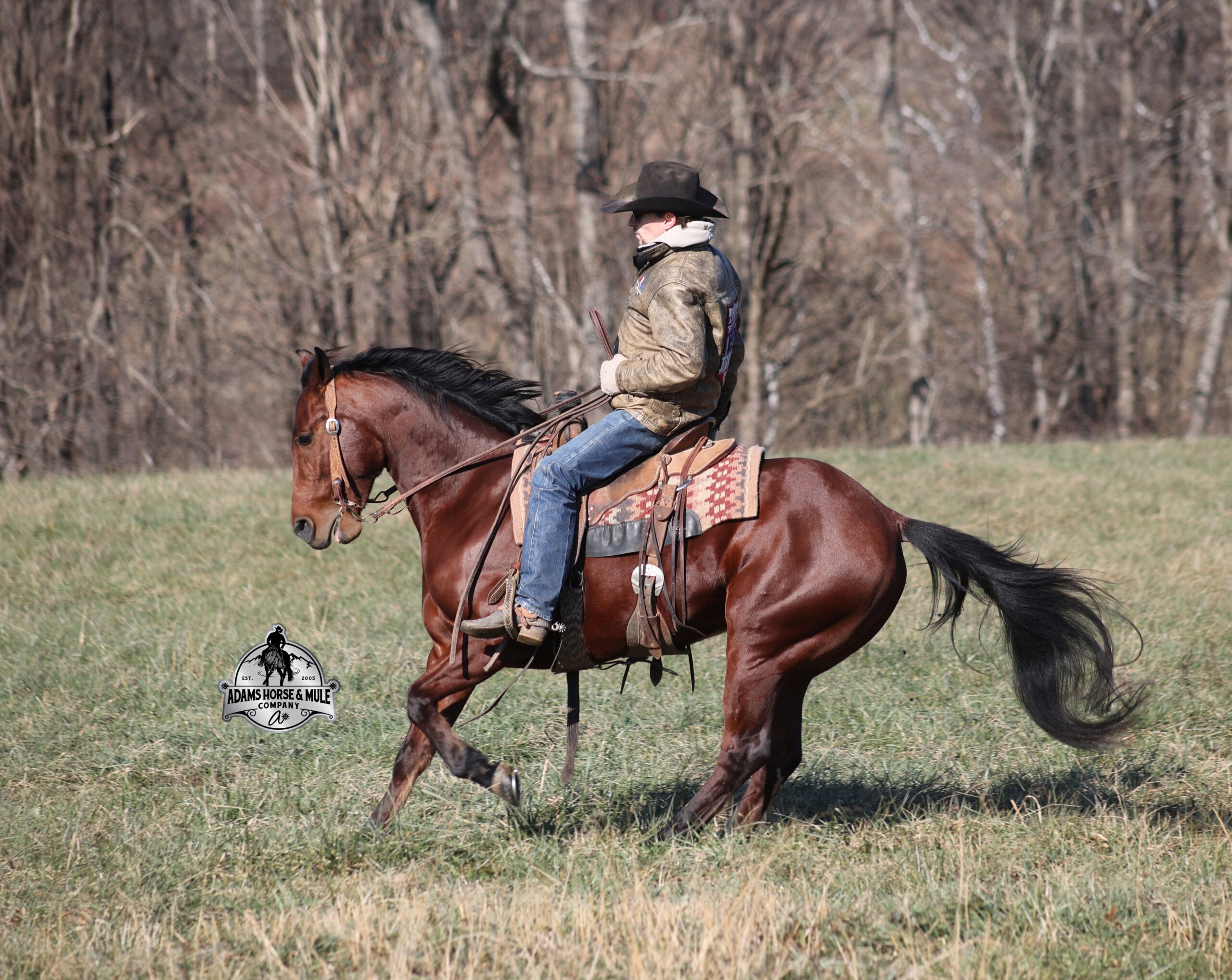 JLS Metallicboonsmal - Image 3