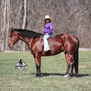 JLS Metallicboonsmal