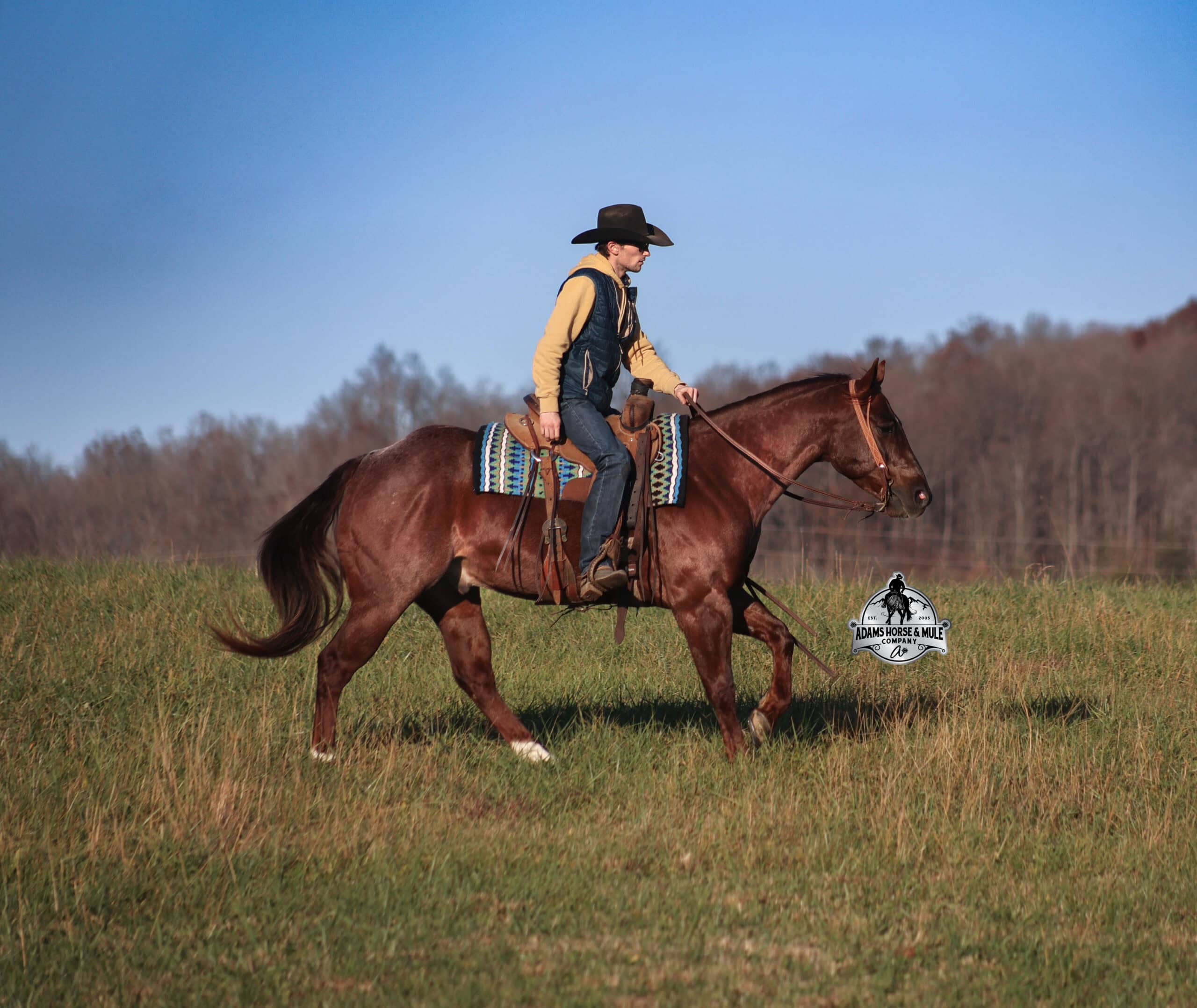 Barts Little Lefty - Image 4