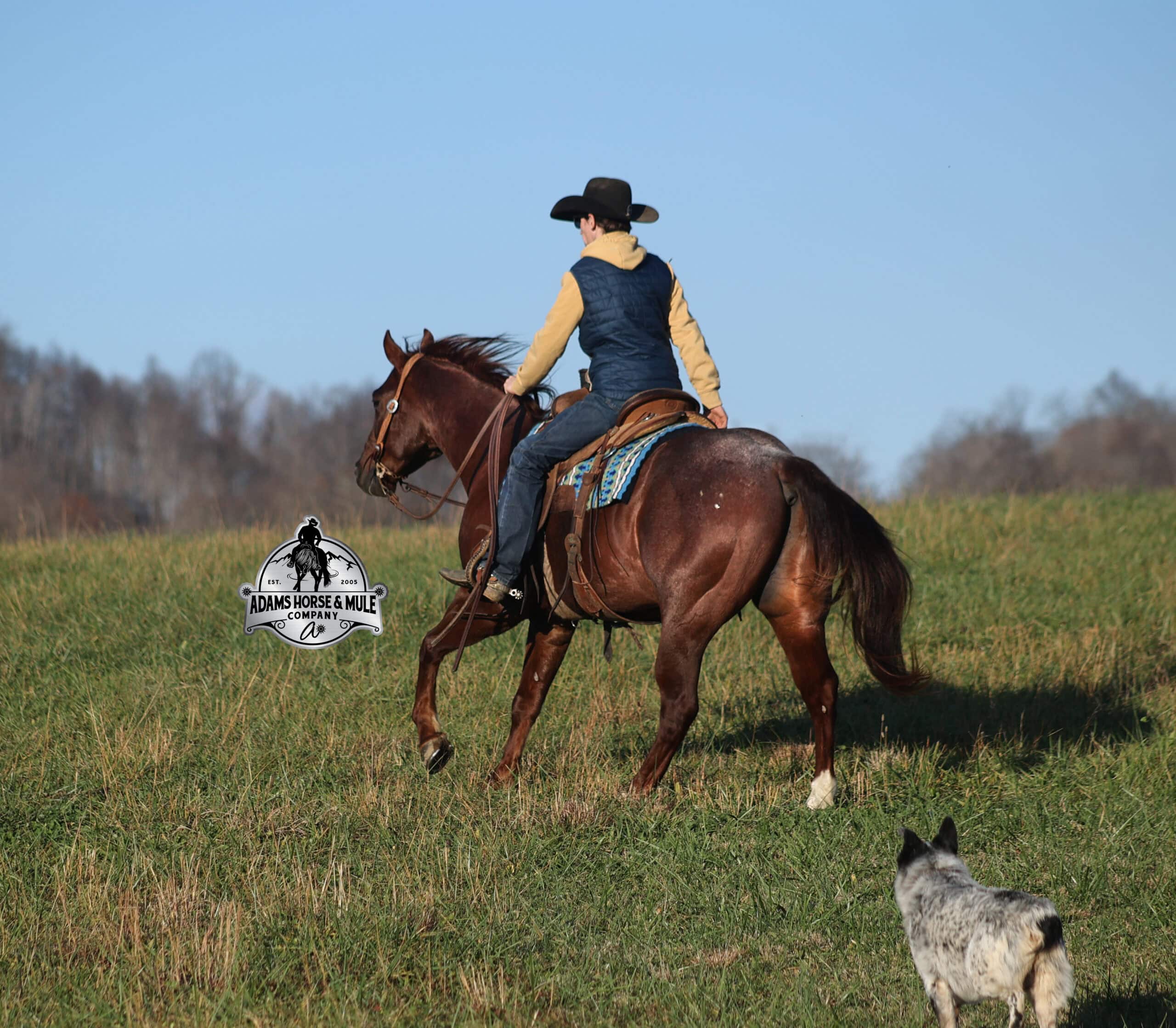 Barts Little Lefty - Image 5