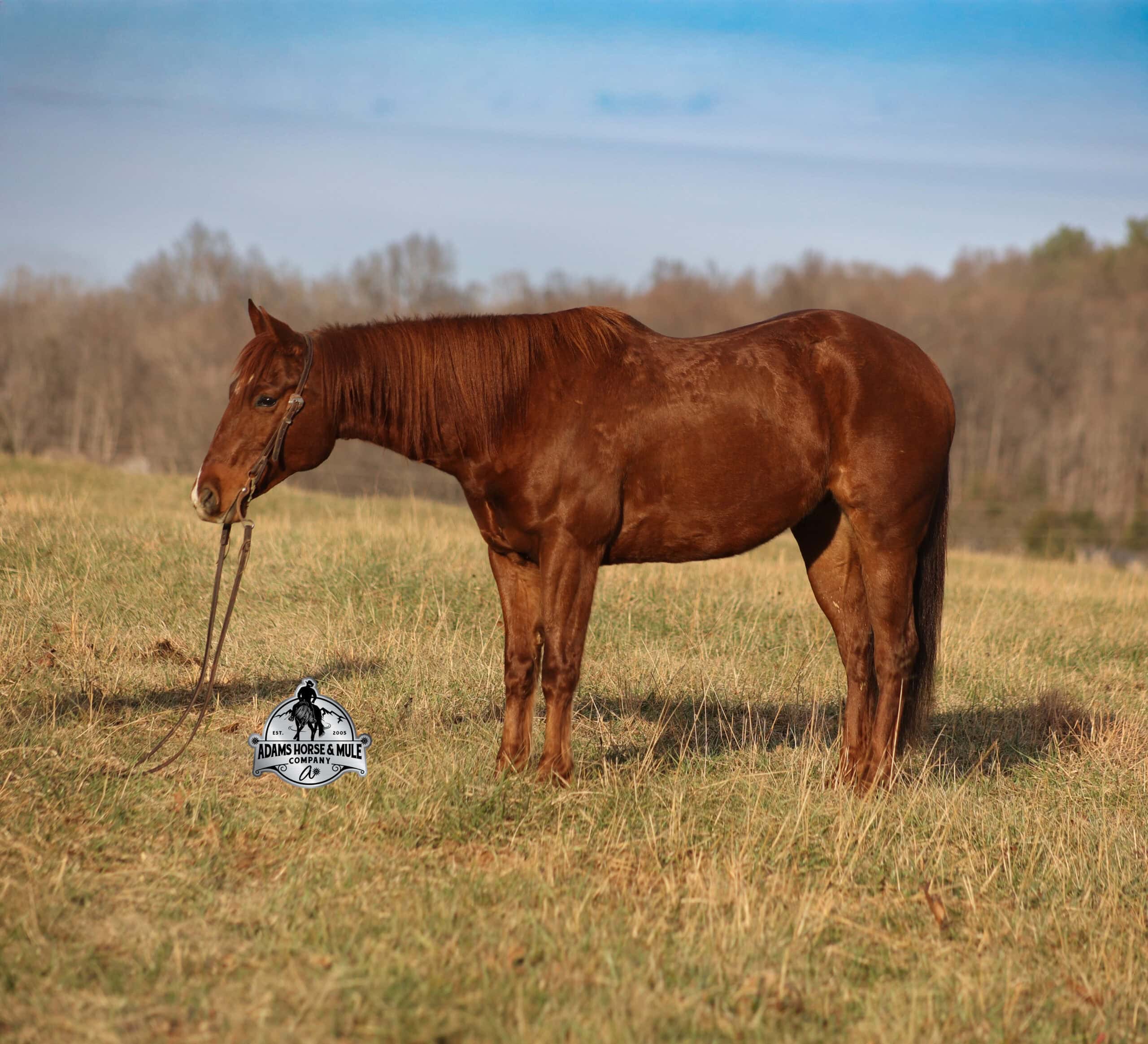 Uptown Twisted Drift - Image 3