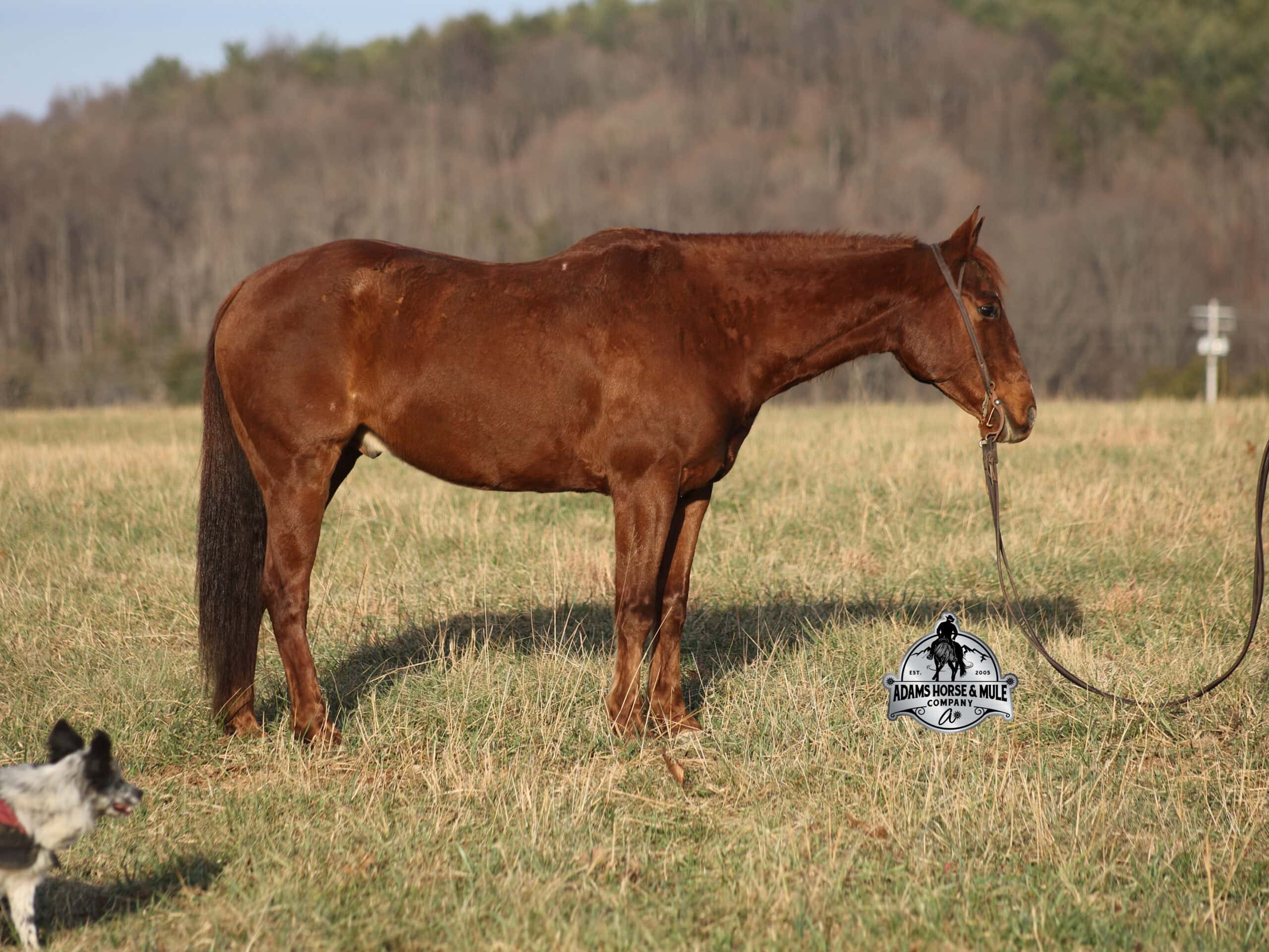 Uptown Twisted Drift - Image 4