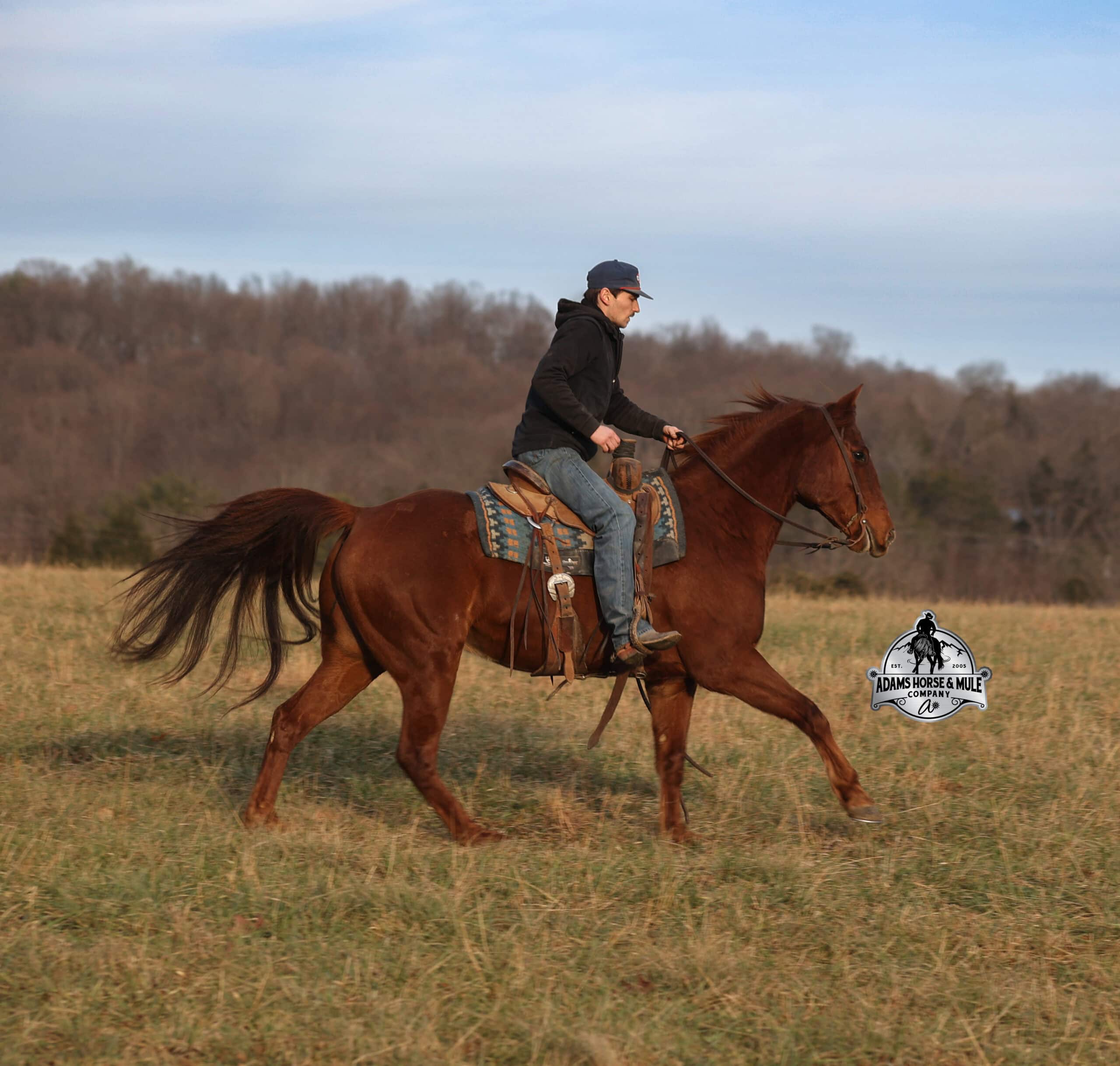 Uptown Twisted Drift - Image 5