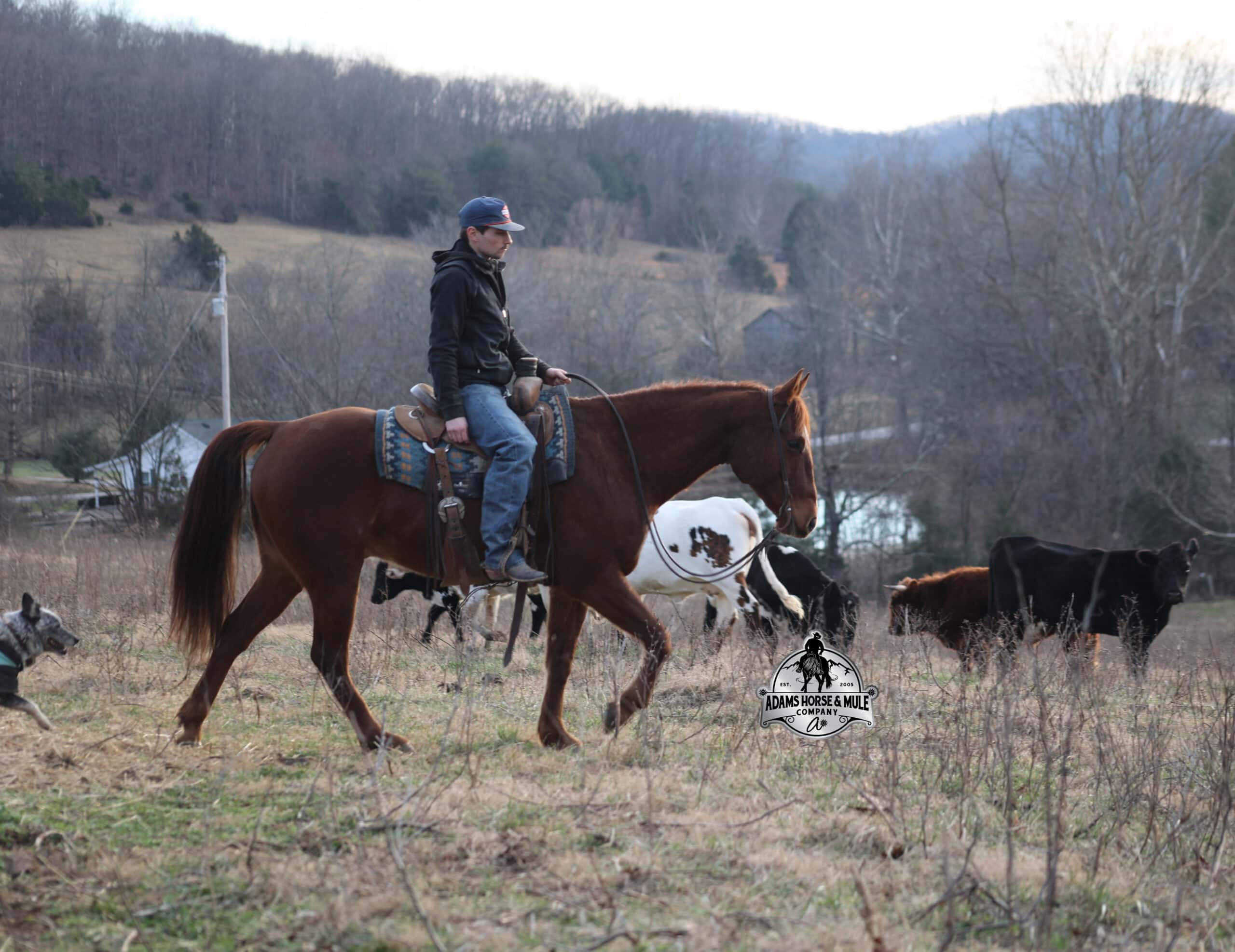 Uptown Twisted Drift - Image 7