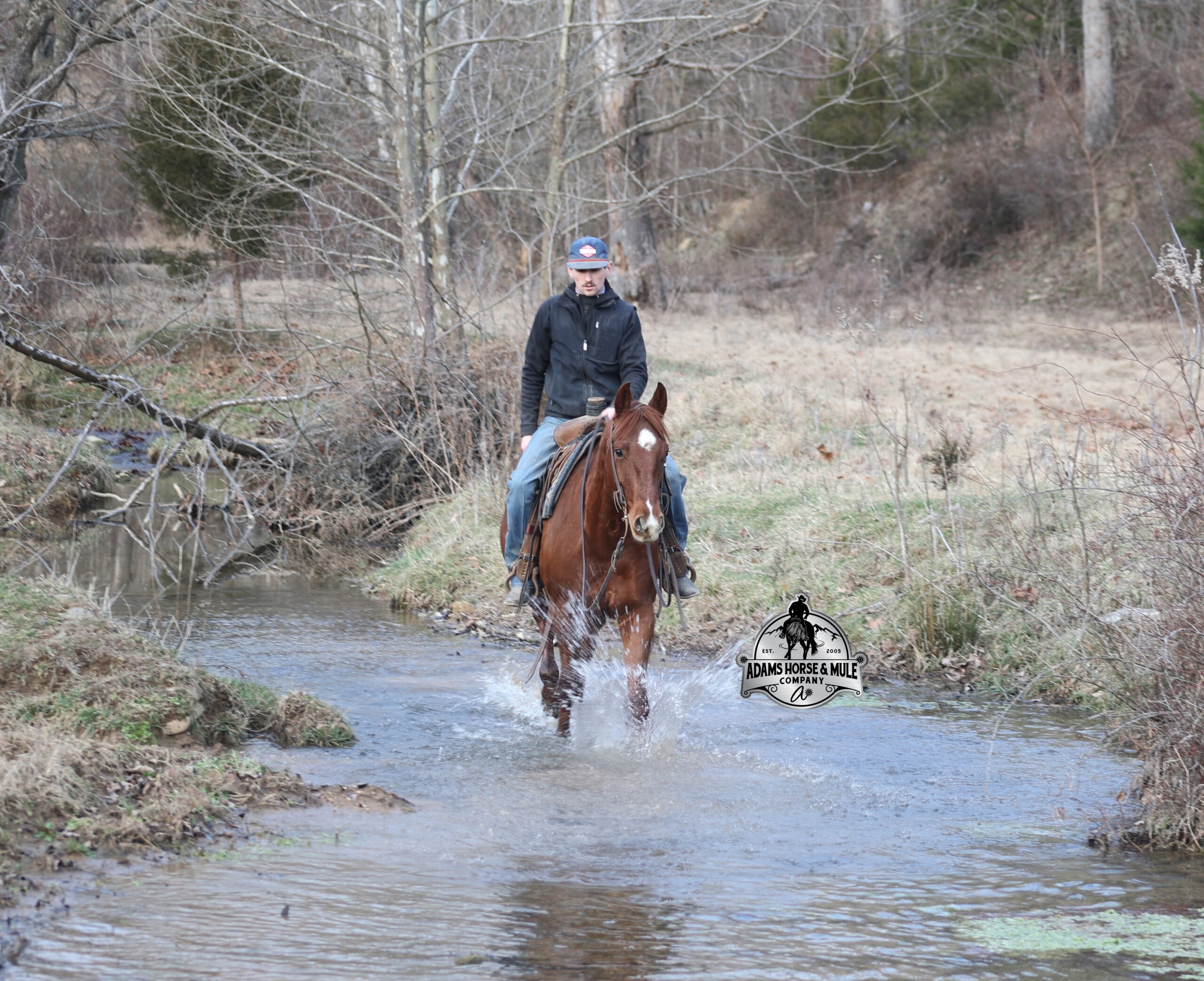 Uptown Twisted Drift - Image 8