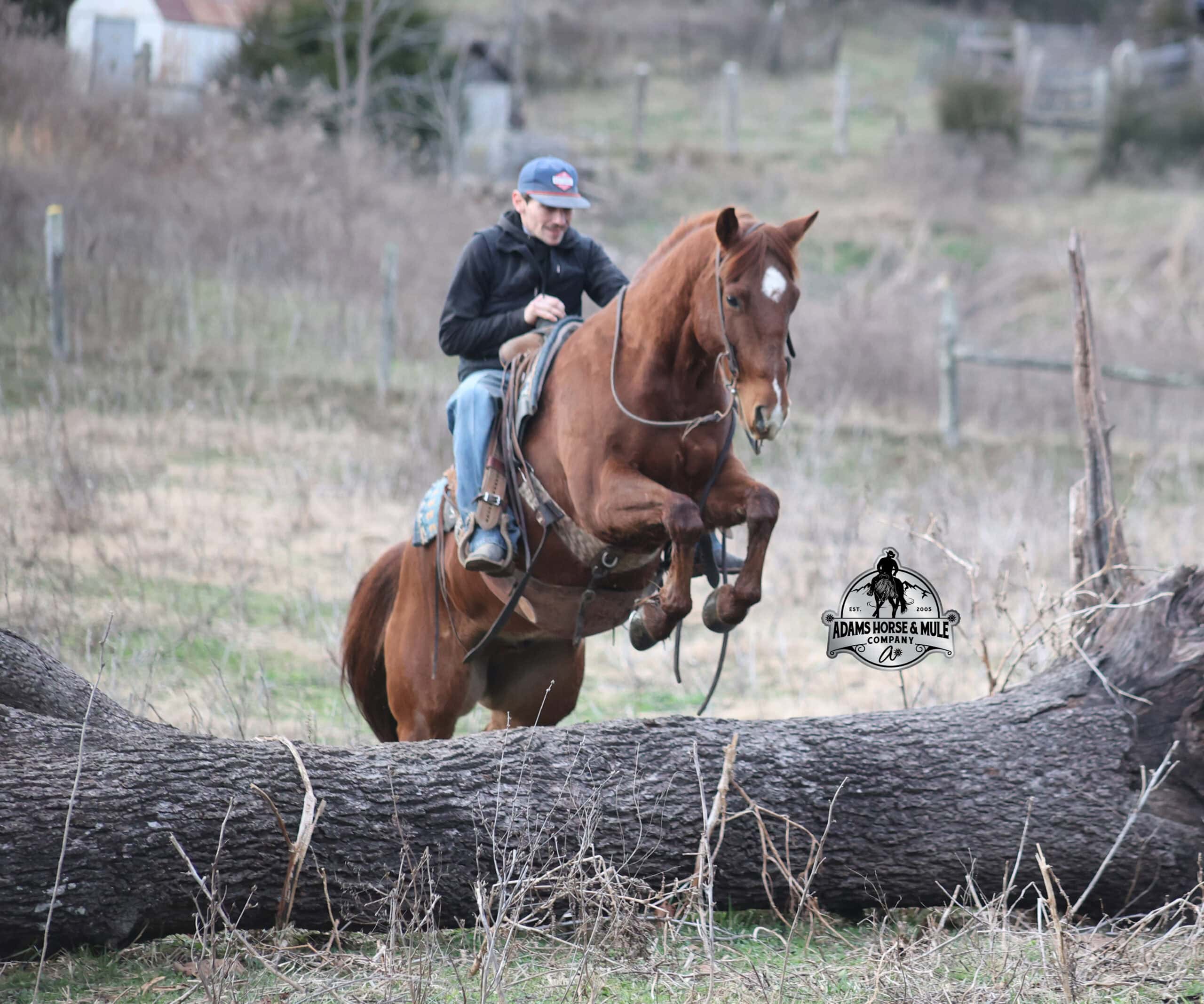 Uptown Twisted Drift - Image 9