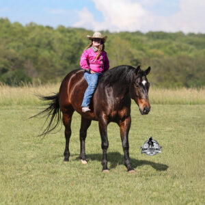 Revolutionary Step -Albert Consigned to Cowgirl Cadillacs Sheridan, WY June 12-13th 2026
