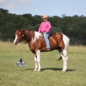 Tramps bar Reflection -Cecil Consigned to Cowgirl Cadillacs Sheridan, WY June 12-13th 2026