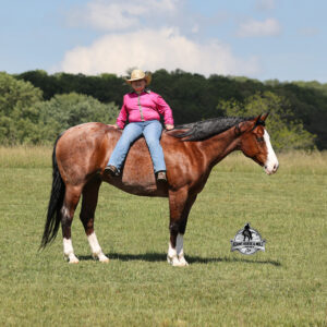 Ty Playing Red -Sox Consigned to Cowgirl Cadillacs Sheridan, WY June 12-13th 2026