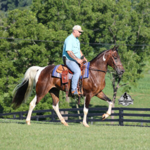A Ritzy Cowboy