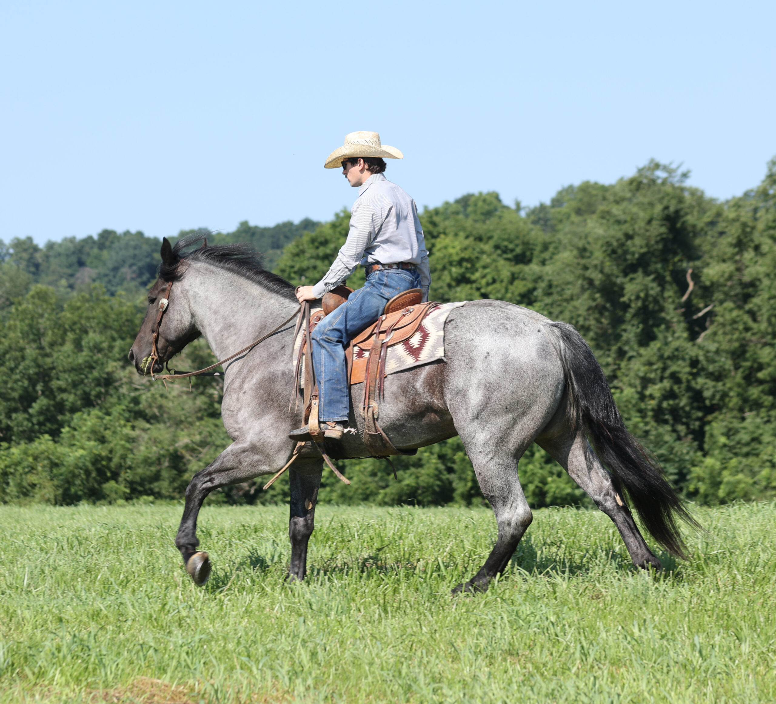 Rio- Consigned to Best Of The West September 25-26th - Image 6