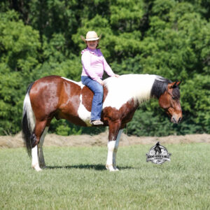 Patriot- Consigned to Best Of The West September 25-26