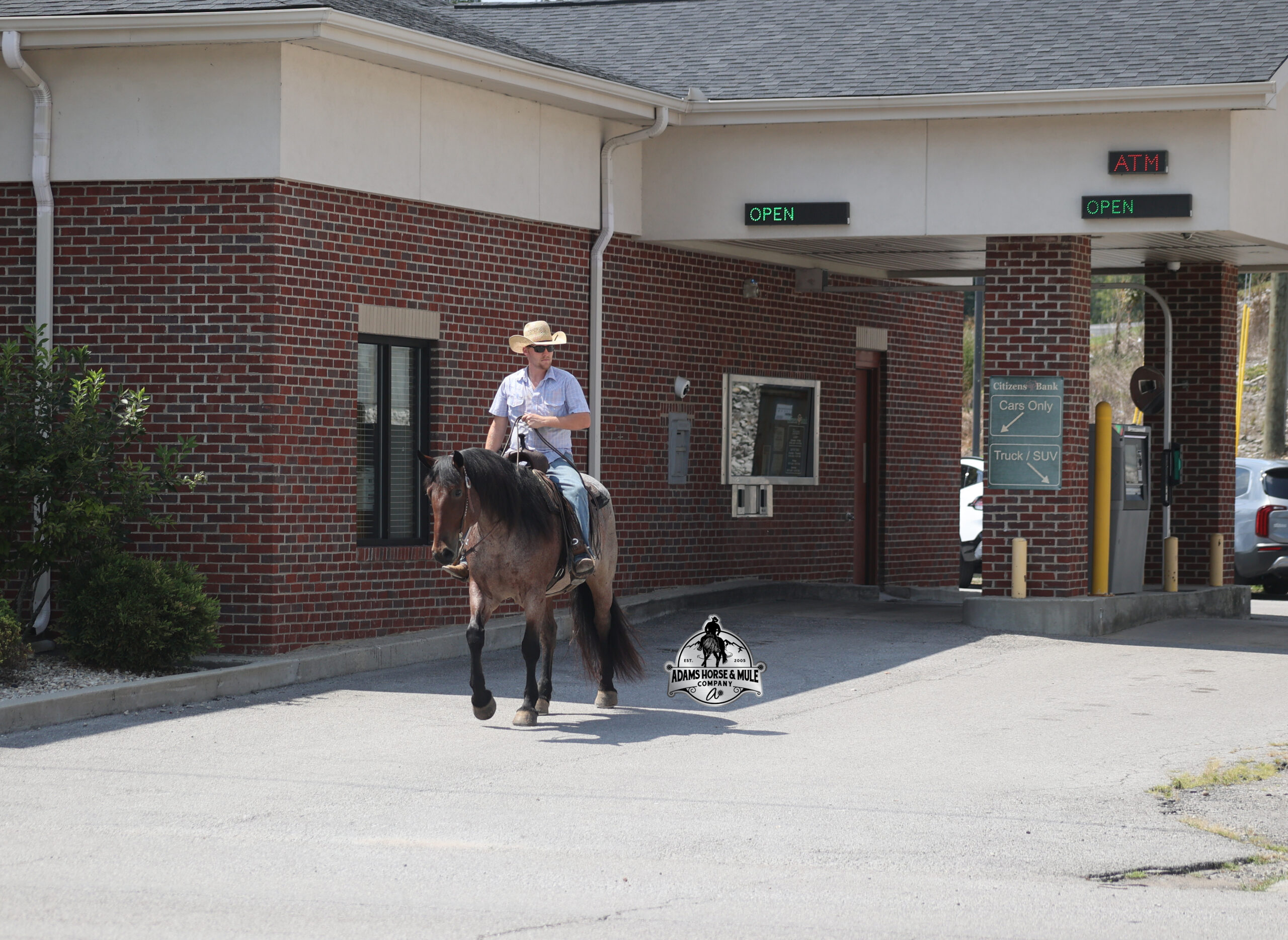 Ranger - Image 11